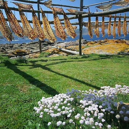 Apartamento Faro Muxia Exteriér fotografie